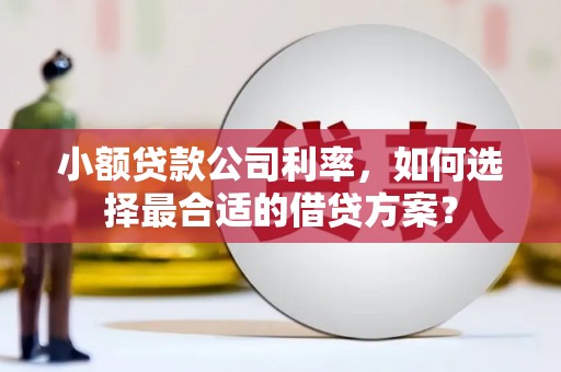 孝感小额贷款公司利率，如何选择最合适的借贷方案？
