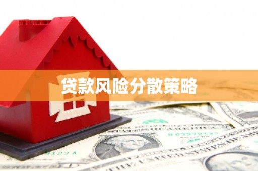 苏尼特右旗贷款风险分散策略
