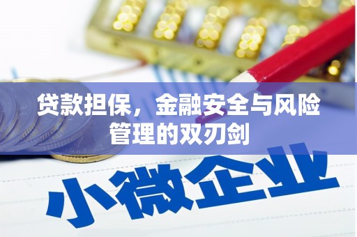 通山贷款担保，金融安全与风险管理的双刃剑