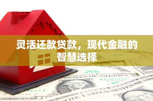 吴中灵活还款贷款，现代金融的智慧选择