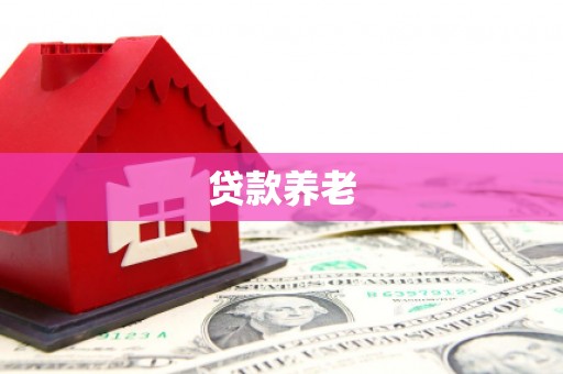 梁平贷款养老