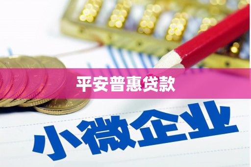 江口平安普惠贷款