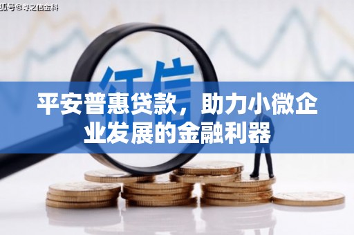 佛冈平安普惠贷款，助力小微企业发展的金融利器