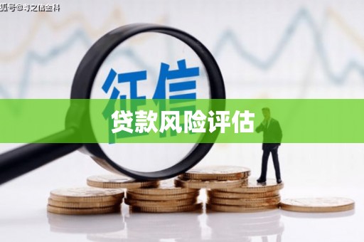叶城贷款风险评估