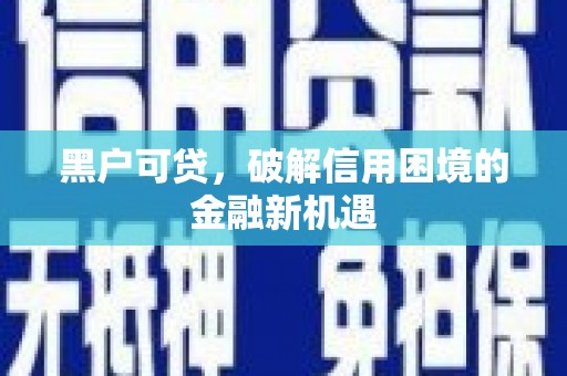 海盐黑户可贷，破解信用困境的金融新机遇