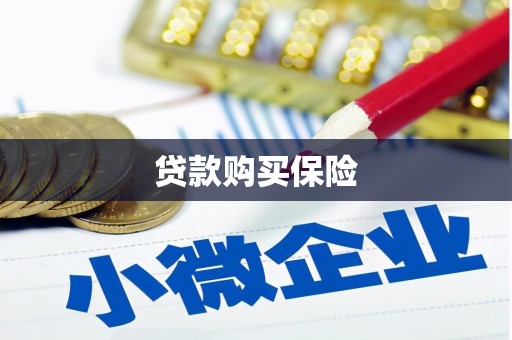 纳雍贷款购买保险