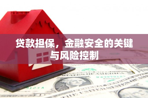 黑水贷款担保，金融安全的关键与风险控制