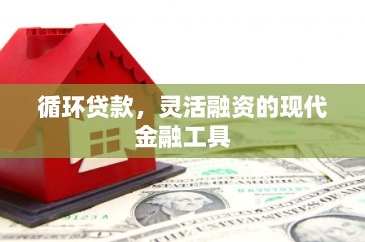 关山循环贷款，灵活融资的现代金融工具