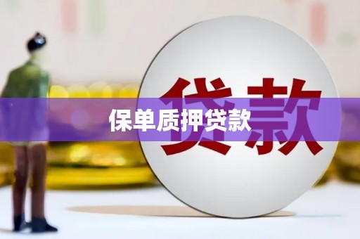 龙崎保单质押贷款