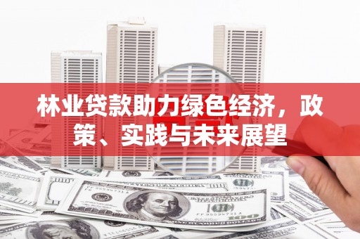 韶关林业贷款助力绿色经济，政策、实践与未来展望