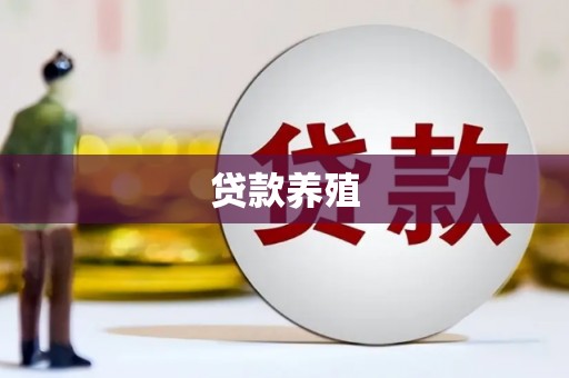 春日贷款养殖