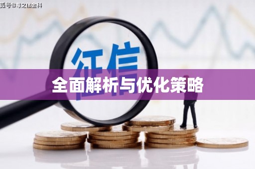 广水全面解析与优化策略
