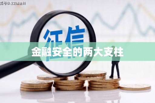 王益金融安全的两大支柱