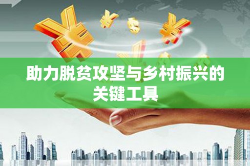 中卫助力脱贫攻坚与乡村振兴的关键工具